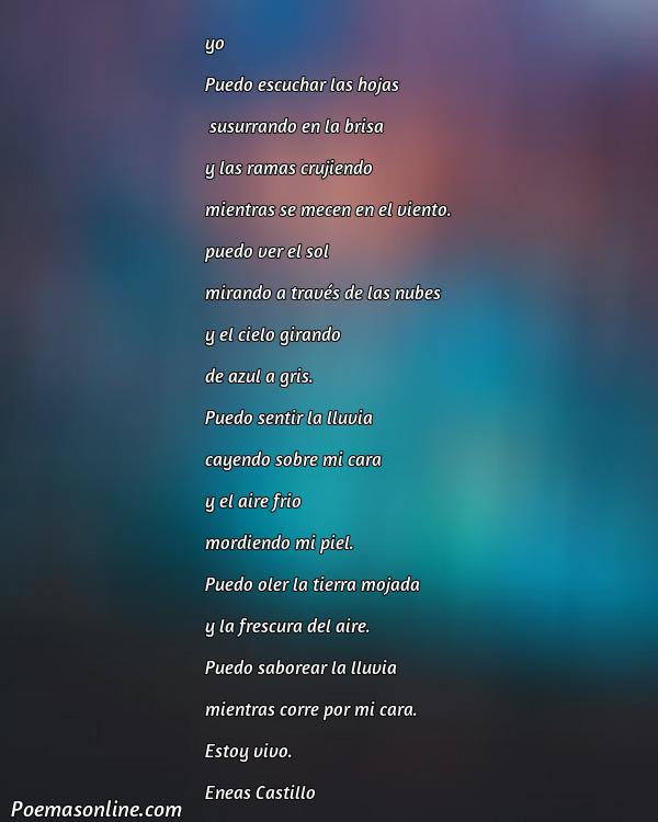 Excelente Poema 12 de Oliverio Girondo, Cinco Mejores Poemas 12 de Oliverio Girondo