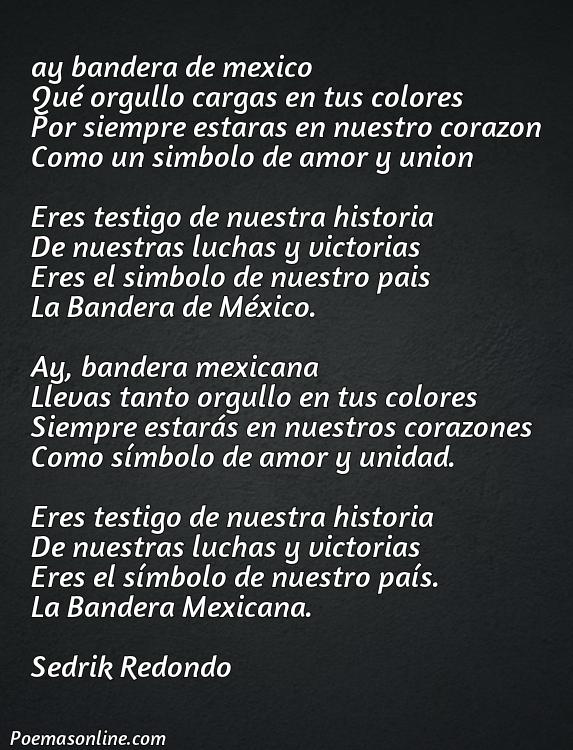 Corto Poema a la Bandera de México, Poemas a la Bandera de México