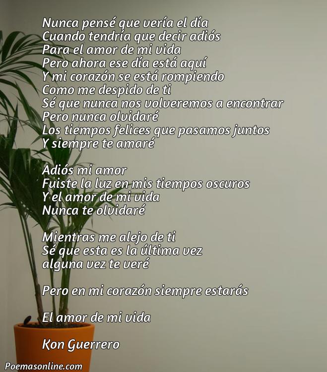 Mejor Poema Adiós Amor de mi Vida, Poemas Adiós Amor de mi Vida