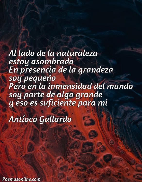 Inspirador Poema al Lado de la Naturaleza, Cinco Poemas al Lado de la Naturaleza