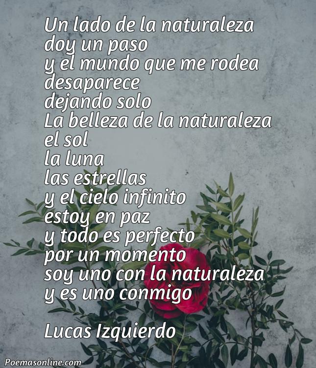 Corto Poema al Lado de la Naturaleza, Poemas al Lado de la Naturaleza