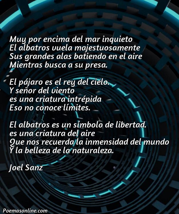 Mejor Poema Albatros de Baudelaire, Poemas Albatros de Baudelaire