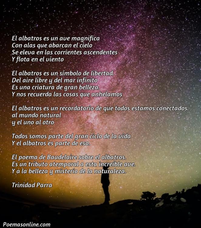 Hermoso Poema Albatros de Baudelaire, Cinco Mejores Poemas Albatros de Baudelaire