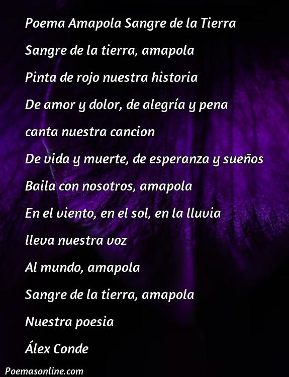 Corto Poema Amapola Sangre de la Tierra, 5 Mejores Poemas Amapola Sangre de la Tierra