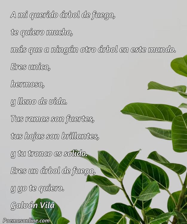 5 Mejores Poemas Árbol de Fuego