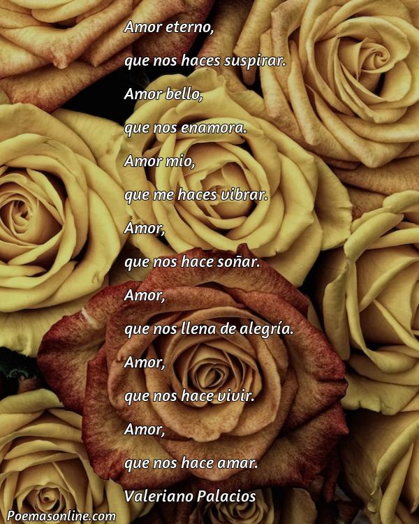 Hermoso Poema Bellos de Amor para Enamorar, 5 Poemas Bellos de Amor para Enamorar