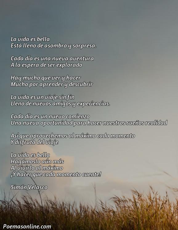Corto Poema Bonitas de la Vida, Poemas Bonitas de la Vida