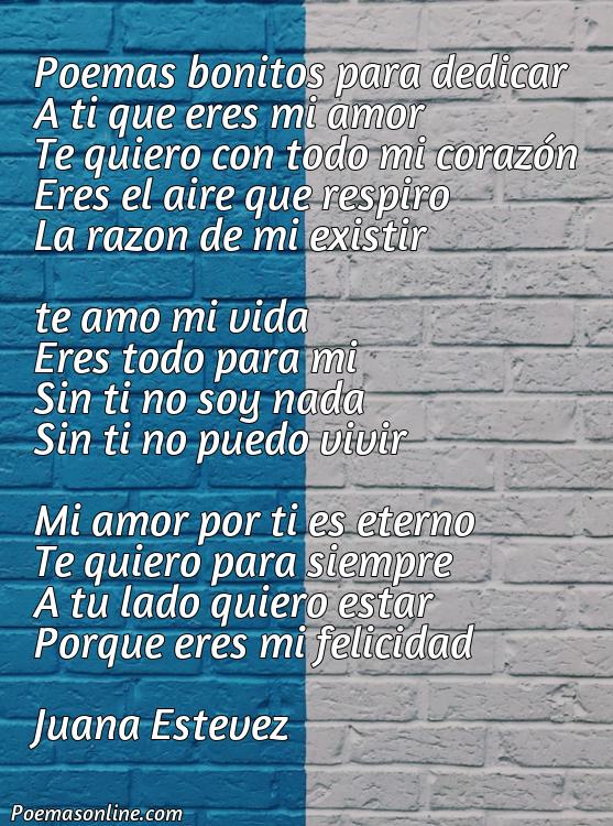 Reflexivo Poema Bonitas para Dedicar, Poemas Bonitas para Dedicar