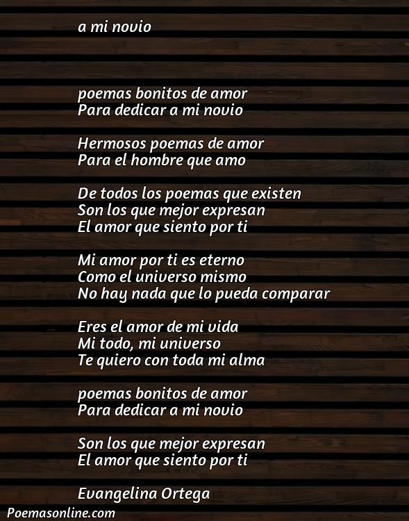 Lindo Poema Bonitos de Amor para Dedicar, 5 Mejores Poemas Bonitos de Amor para Dedicar