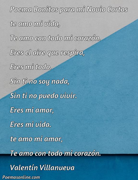 Corto Poema Bonitos para mi Novio Cortos, 5 Mejores Poemas Bonitos para mi Novio Cortos