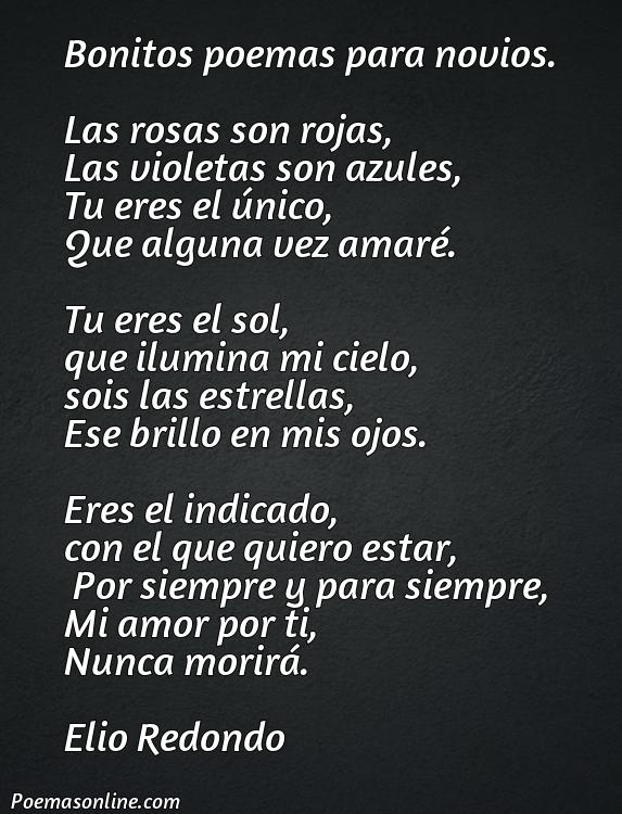 Inspirador Poema Bonitos para Novios, 5 Poemas Bonitos para Novios