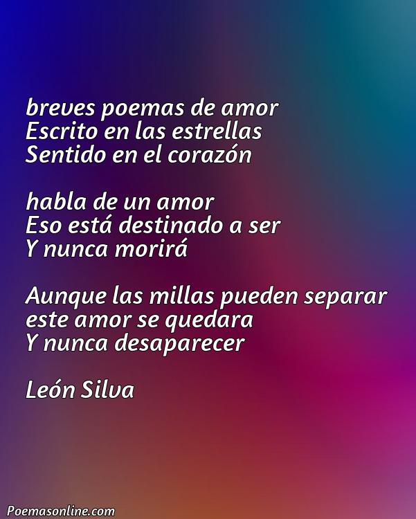 Reflexivo Poema Breves de Amor, Poemas Breves de Amor