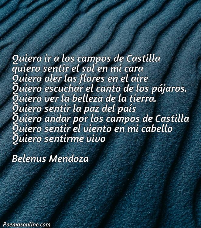Excelente Poema Campos de Castilla, Poemas Campos de Castilla