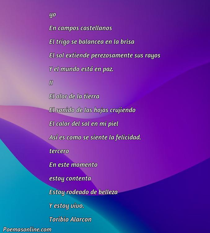 Excelente Poema Campos de Castilla, 5 Poemas Campos de Castilla