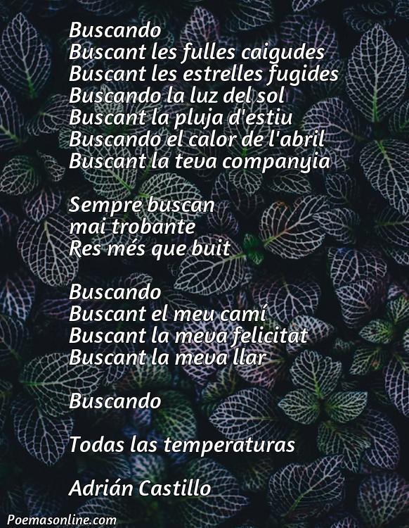 Mejor Poema Catalán sobre Buscar, 5 Poemas Catalán sobre Buscar