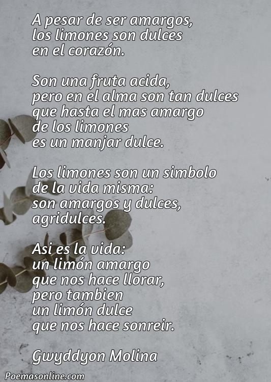 Hermoso Poema Catlán sobre Limones, Cinco Poemas Catlán sobre Limones