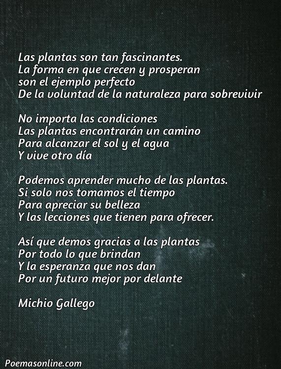 Excelente Poema Corto sobre las Plantas, Poemas Corto sobre las Plantas