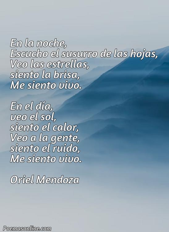 5 Poemas de 2 Estrofas y 4 Versos