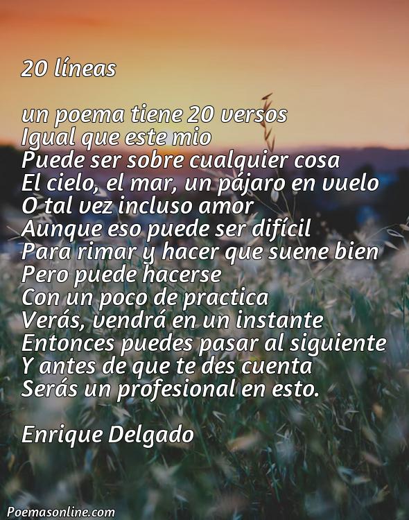 Corto Poema de 20 Versos, Cinco Poemas de 20 Versos