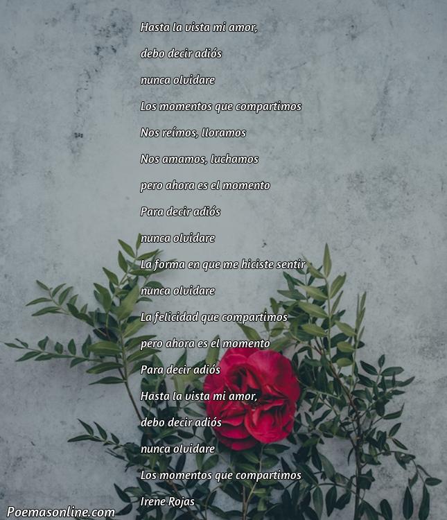 Hermoso Poema de Adiós para Siempre, Cinco Mejores Poemas de Adiós para Siempre