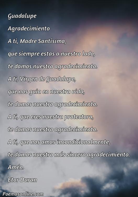 Reflexivo Poema de Agradecimiento a la Virgen, Cinco Mejores Poemas de Agradecimiento a la Virgen