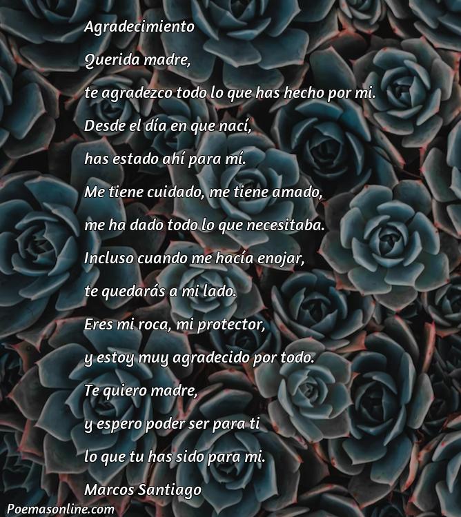 Corto Poema de Agradecimiento a una Madre, Poemas de Agradecimiento a una Madre