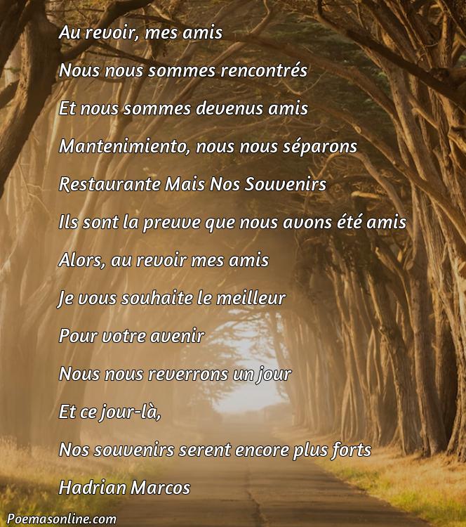 Mejor Poema de Amistad en Francés, 5 Poemas de Amistad en Francés