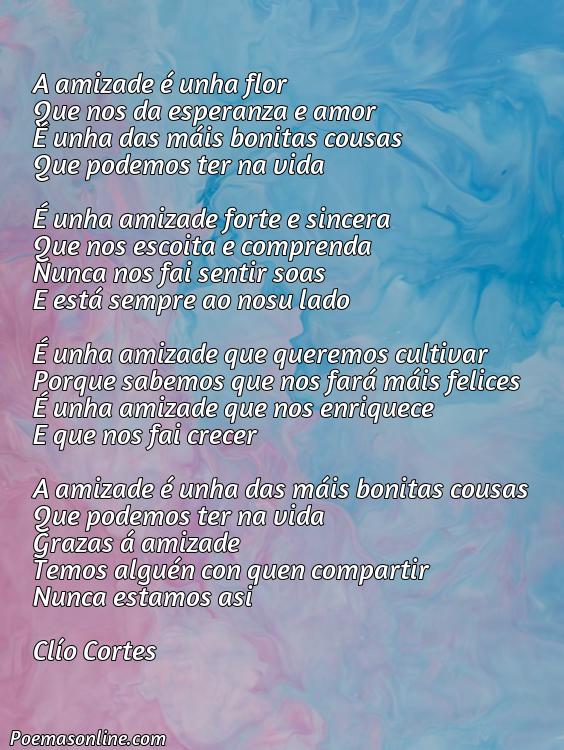 Lindo Poema de Amistad en Gallego, Cinco Mejores Poemas de Amistad en Gallego
