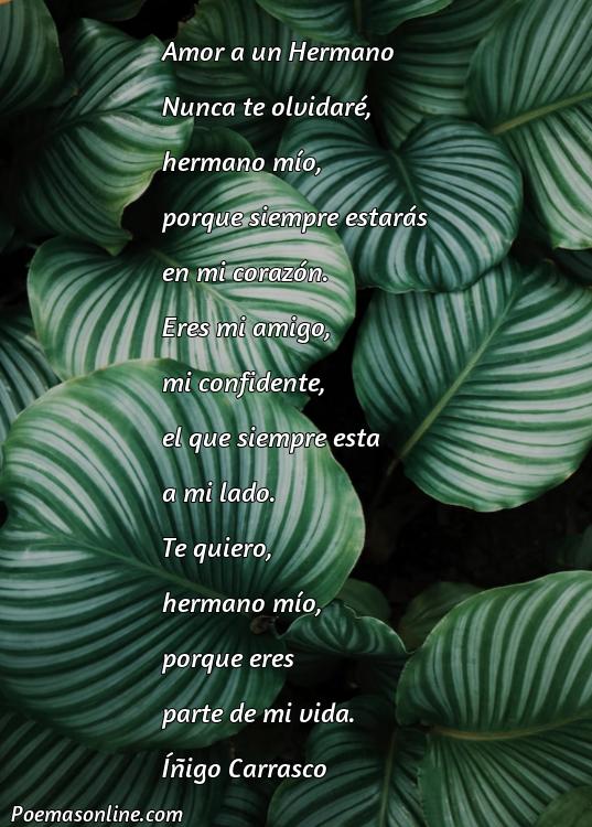 Reflexivo Poema de Amor a un Hermano, Cinco Poemas de Amor a un Hermano