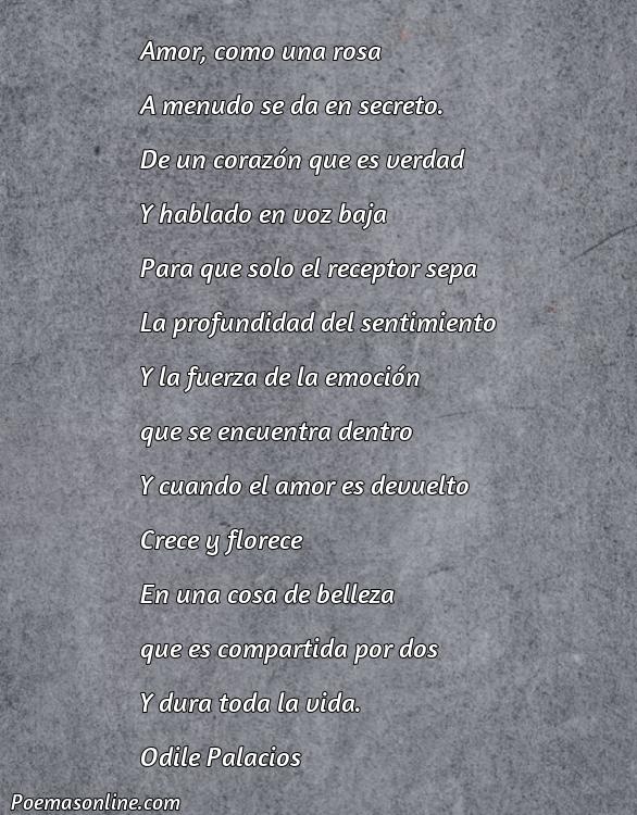 Hermoso Poema de Amor Anónimos Largos, Poemas de Amor Anónimos Largos