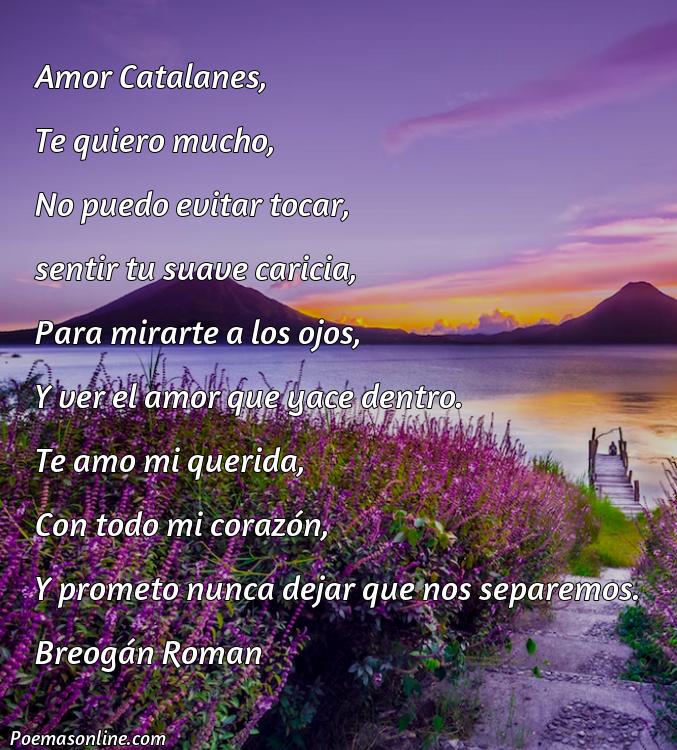 Excelente Poema de Amor Catalánes, Poemas de Amor Catalánes