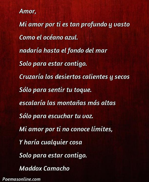 5 Poemas de Amor Cortes Medieval