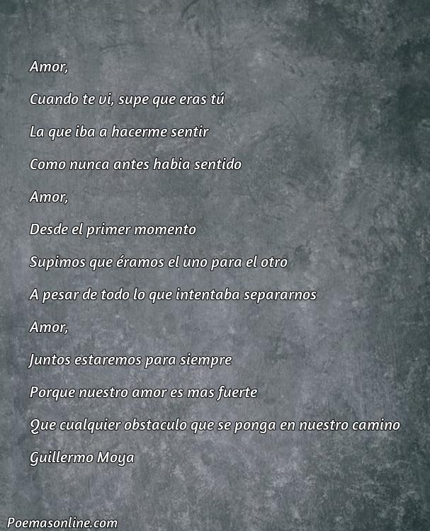 Reflexivo Poema de Amor de Romeo y Julieta, Cinco Poemas de Amor de Romeo y Julieta