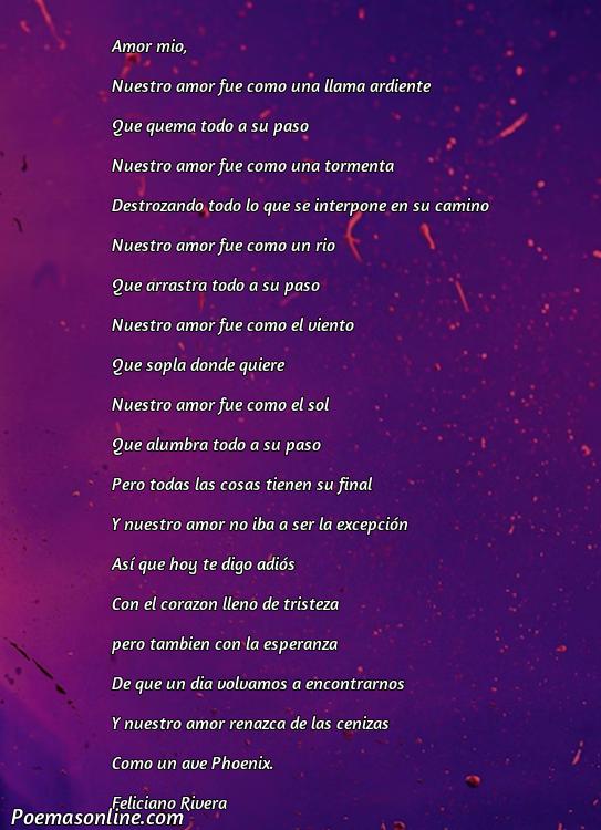 Lindo Poema de Amor Despedida para Siempre, 5 Mejores Poemas de Amor Despedida para Siempre