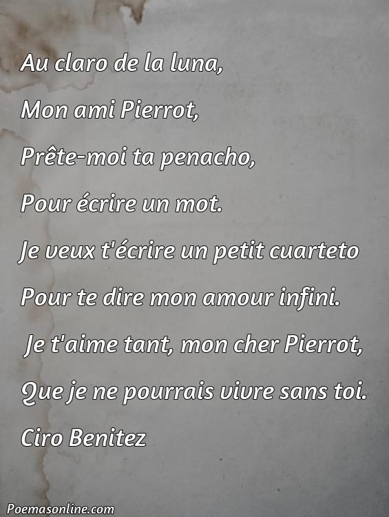Reflexivo Poema de Amor en Frances, 5 Poemas de Amor en Frances