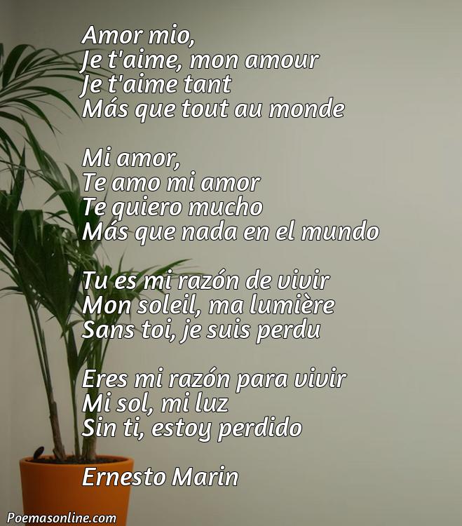Hermoso Poema de Amor en Francés con Traducción al Español, Cinco Poemas de Amor en Francés con Traducción al Español