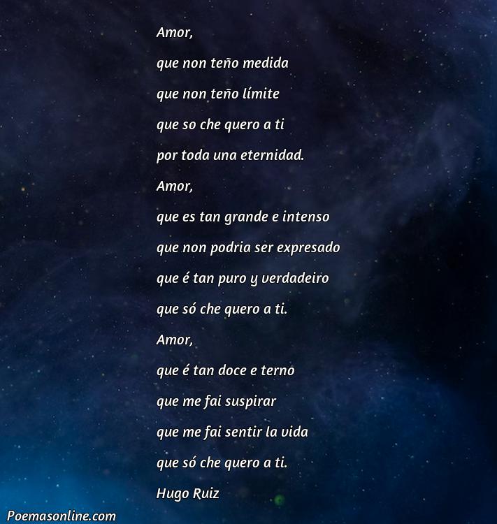 Reflexivo Poema de Amor en Gallego Anónimos, Poemas de Amor en Gallego Anónimos