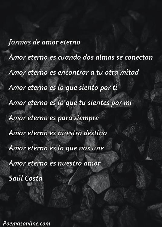 Corto Poema de Amor Eterno Largo, Poemas de Amor Eterno Largo