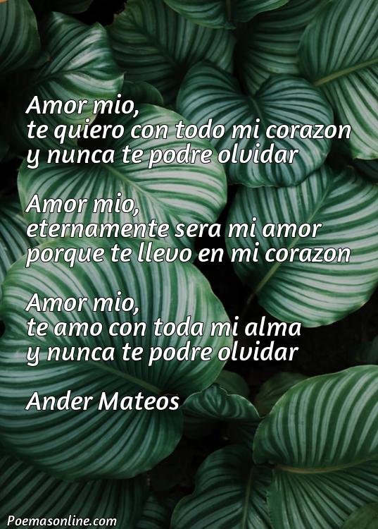 Excelente Poema de Amor Franceses, Poemas de Amor Franceses