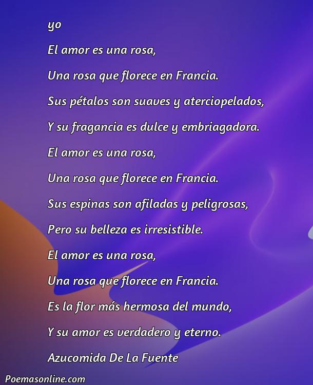 Reflexivo Poema de Amor Franceses, Poemas de Amor Franceses