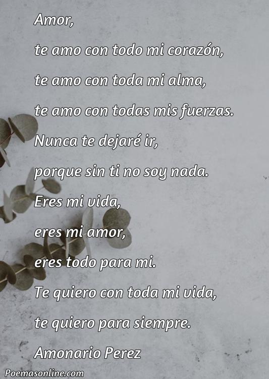 Mejor Poema de Amor Largos, Poemas de Amor Largos