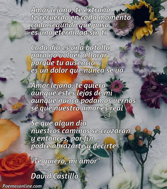 Reflexivo Poema de Amor Lejano, Poemas de Amor Lejano