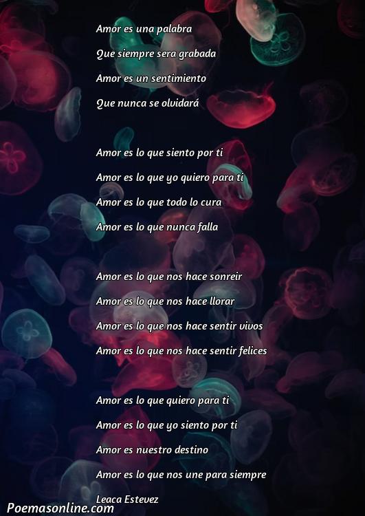 Inspirador Poema de Amor Lindo, 5 Poemas de Amor Lindo