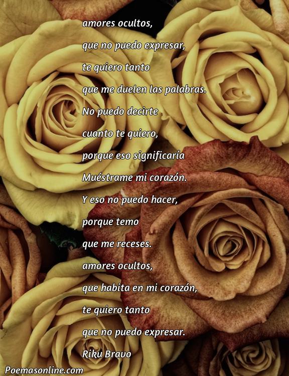 Excelente Poema de Amor Oculto, Cinco Poemas de Amor Oculto