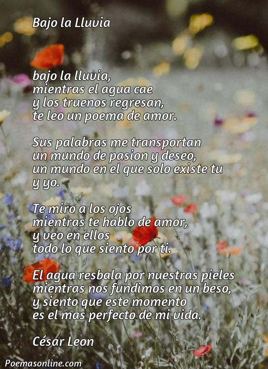 Hermoso Poema de Amor para Leer, 5 Mejores Poemas de Amor para Leer