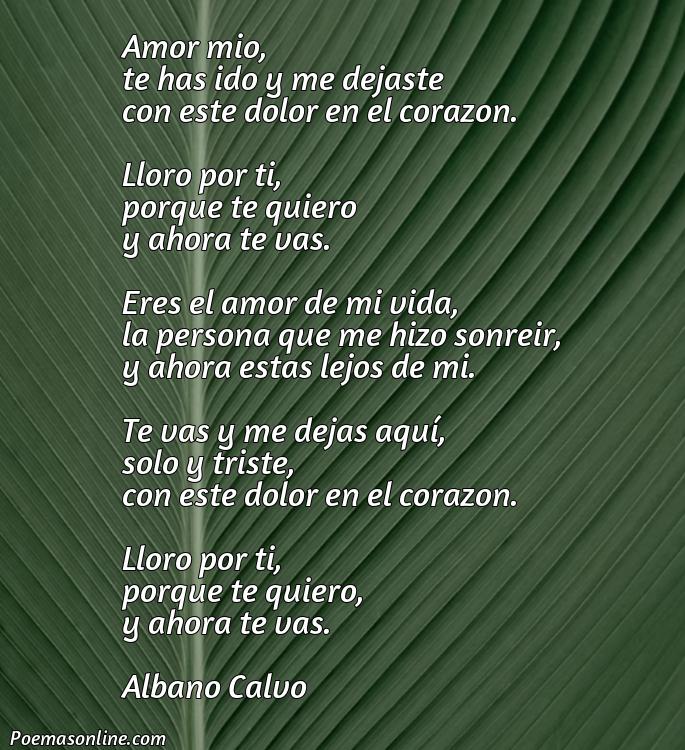 Excelente Poema de Amor para Llorar, Poemas de Amor para Llorar