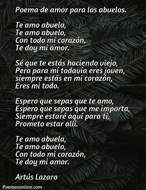 Lindo Poema de Amor para los Abuelos, Cinco Poemas de Amor para los Abuelos