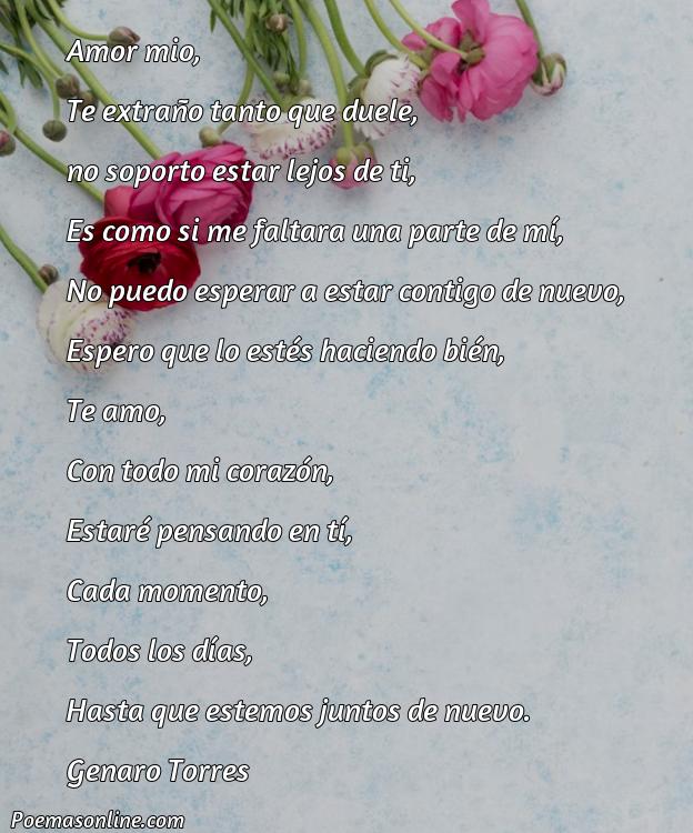 Hermoso Poema de Amor para mi Amor que Esta Lejos, 5 Mejores Poemas de Amor para mi Amor que Esta Lejos