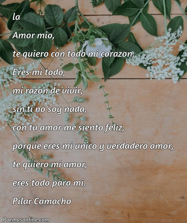 5 Poemas De Amor Para Mi Novia Largos Para Enamorar Poemas Online 