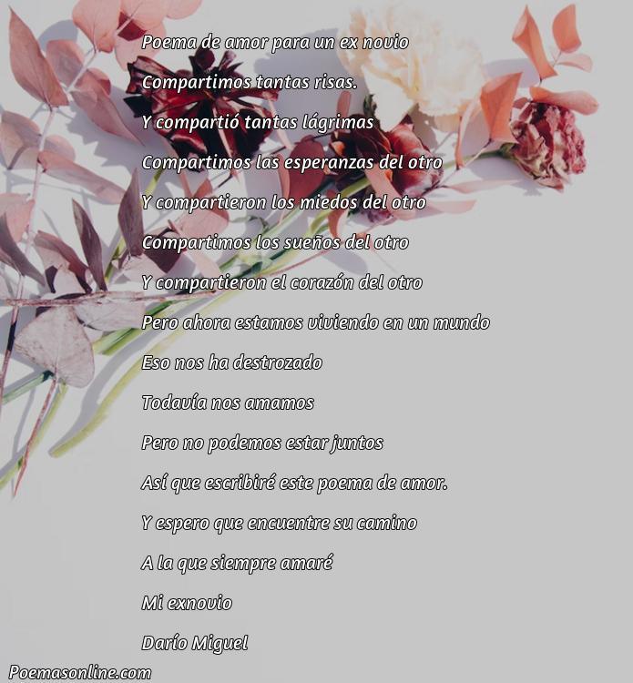 Lindo Poema de Amor para un Ex Novio, Poemas de Amor para un Ex Novio